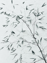 Load image into Gallery viewer, GRASS ON WALL