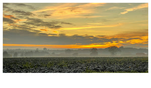 Foggy sunset at Butley, Suffolk