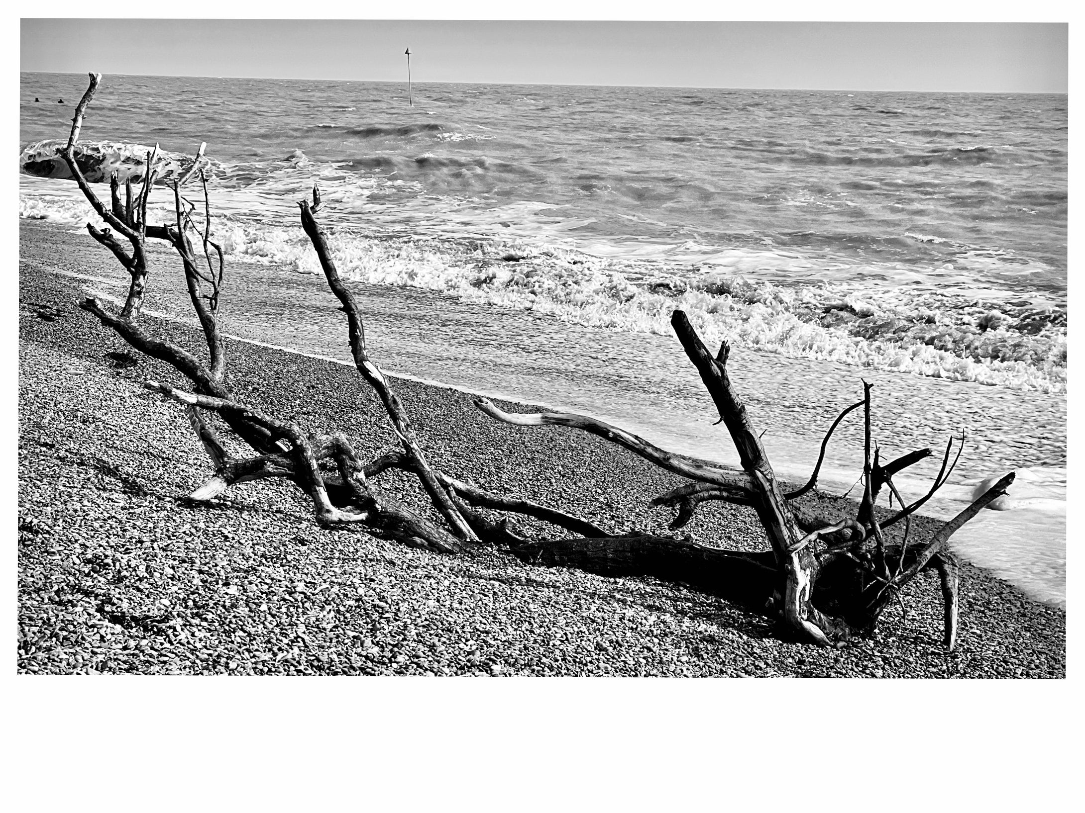 Driftwood on Bawdsey beach, Suffolk