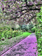 Load image into Gallery viewer, PINK BLOSSOM GIBSON SQUARE
